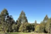 2122 Euroa-Strathbogie Road, Strathbogie, Vic 3666-Image