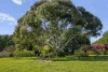 2122 Euroa-Strathbogie Road, Strathbogie, Vic 3666-Image