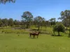 213-217 New Beith Road, Greenbank, Qld 4124-Image