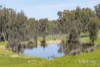 213 Mia Mia Road, Newstead, Vic 3462-Image