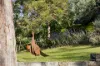213 Middle Ridge Road, Wollombi, NSW 2325-Image