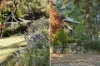 213 Middle Ridge Road, Wollombi, NSW 2325-Image