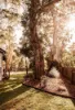 2130 Colac-forrest Road, Gerangamete, Vic 3249-Image