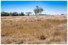 2134 Ridgelands Road, Alton Downs QLD 4702-Image