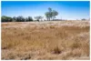 2134 Ridgelands Road, Ridgelands, Qld 4702-Image