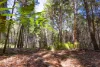 214-226 Dickson Way, North Stradbroke Island, Qld 4183-Image