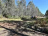 214 Bradys Lake Road, Bradys Lake, Tas 7140-Image