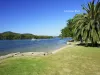 214 Burge Road, Woy Woy, NSW 2256-Image