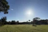 215 Avon Terrace, York, WA 6302-Image