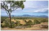 215 Fairy Bower Road, Gracemere, Qld 4702-Image
