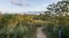 215 Masthead Drive, Agnes Water, Qld 4677-Image