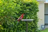 215 Shorts Road, Elliminyt, Vic 3250-Image