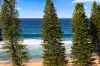 215 Whale Beach Road, Whale Beach, NSW 2107-Image