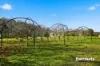2152 Frankford Road, Frankford, Tas 7275-Image