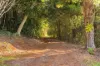 2156 Beechmont Road, Beechmont, Qld 4211-Image