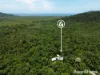 2159 Cape Tribulation Road (DEEP FOREST LODGE)res, Diwan, Qld 4873
