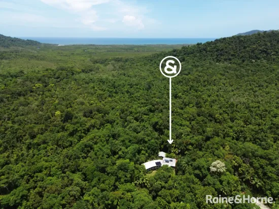 2159 Cape Tribulation Road (DEEP FOREST LODGE)res, Diwan, Qld 4873