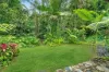 2159 Cape Tribulation Road (DEEP FOREST LODGE)res, Diwan, Qld 4873-Image