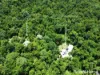 2159 Cape Tribulation Road (DEEP FOREST LODGE)res, Diwan, Qld 4873-Image