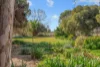 216 Boorga Road, Lake Wyangan, NSW 2680-Image