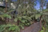 216 Emerald-Monbulk Road, Monbulk, Vic 3793-Image