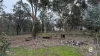 216 Goldsborough Road, Goldsborough, Vic 3472-Image