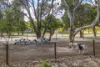 216 Powderbark Road, Lower Chittering, WA 6084-Image