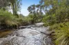 2163 Mt Buller Road, Merrijig, Vic 3723-Image