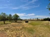 217-219 Merryula Rd, Ulamambri, NSW 2357-Image