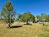 217-219 Merryula Rd, Ulamambri, NSW 2357-Image