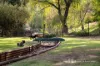 217 Mummery Road, Myrtleford, Vic 3737-Image