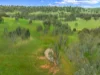 217 Skillogalee Creek Road, Watervale, SA 5452-Image