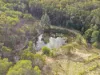 217 Tunnel Road, Imbil, Qld 4570-Image