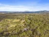 217 Tunnel Road, Imbil, Qld 4570-Image