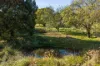 2175 Ballan-Daylesford Road, Leonards Hill, Vic 3461-Image