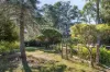 2175 Ballan-Daylesford Road, Leonards Hill, Vic 3461-Image
