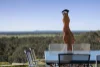 218 Kingower-Wedderburn Road, Brenanah, Vic 3517-Image