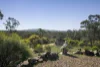 218 Kingower-Wedderburn Road, Brenanah, Vic 3517-Image