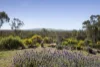 218 Kingower-Wedderburn Road, Brenanah, Vic 3517-Image