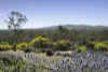 218 Kingower-Wedderburn Road, Brenanah, Vic 3517-Image