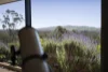 218 Kingower-Wedderburn Road, Brenanah, Vic 3517-Image