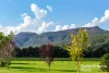 2180 Moss Vale Road, Kangaroo Valley, NSW 2577-Image
