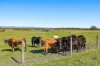 219 Bay Road, Jam Jerrup, Vic 3984-Image