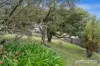 219 Carella Street, Howrah, Tas 7018-Image