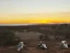 219 Cooper Street, Waggrakine, WA 6530-Image