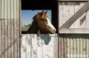 219 Hanigans Lane, Bolong, NSW 2540-Image