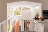 219 Nelson Street, Annandale, NSW 2038-Image