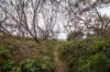 219 Oceanic Drive, Bokarina, Qld 4575-Image