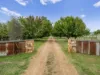 219 Ogilvies Road, Mansfield, Vic 3722-Image