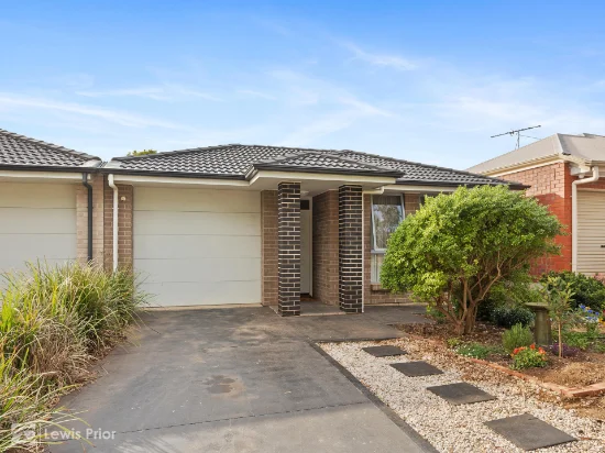 21a Brolga Place, Sturt, SA 5047